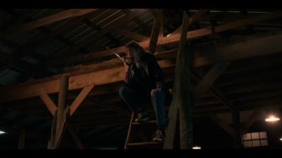 Stranger_Things_S05E03_mkv3254.jpg